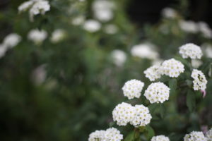 【自分】を見つける具体的な方法