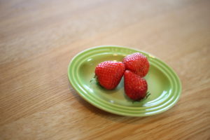 子供にいろんな経験を　でも連れて行くだけじゃ足りないって知ってました？