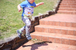 とうとう会社辞めました　そして相棒を手に入れました