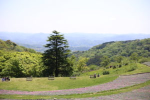 【会員限定】夫が克服したもの