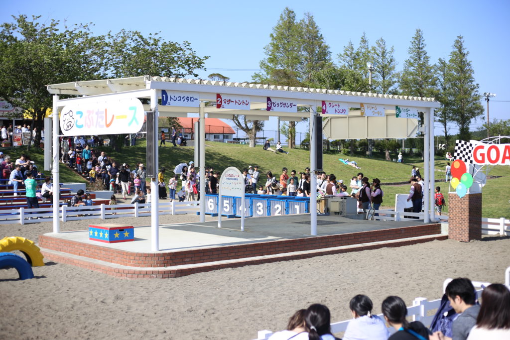 マザー牧場 こぶたレース