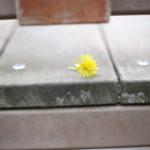 便利な便利な会社スマホ