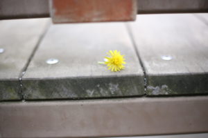 便利な便利な会社スマホ