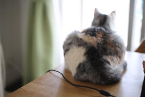 好かれたい相手、仲良くなりたい人に、好かれる方法