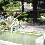 夫婦間CRM 心が離れても構わない