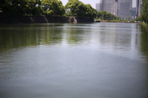 感動した！ブログやってて良かった