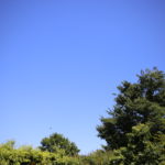 海水浴の準備　男児の水着　私は毎年ここで買っています。