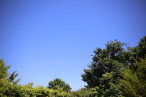 そろそろ始動します。『ワーキングマザー3.0』