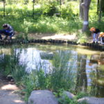 結婚相手のことは過小評価しがち