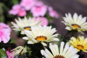 スケジュール帳がいっぱいです