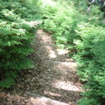 宿題　私はなぜ起業しなければいけないのか