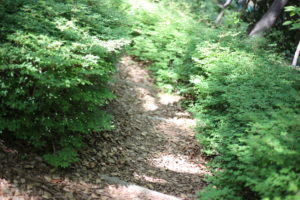 宿題　私はなぜ起業しなければいけないのか