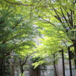インタレストマッチのアドテクなんですけど・・・と言われた話