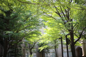 インタレストマッチのアドテクなんですけど・・・と言われた話