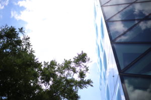 『ヨロヨロ独立日記㉝』オンラインショップ運営は『狩り』