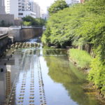 【会員限定】私だってもういい加減に夫を許したい。