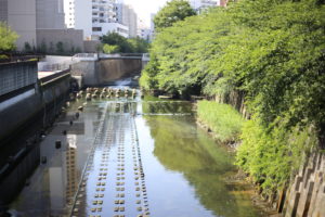 【会員限定】私だってもういい加減に夫を許したい。
