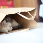 嫉妬していた私