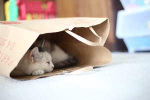 嫉妬していた私