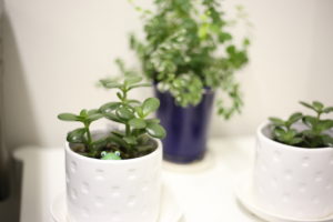 【会員限定】選択肢としての離婚がないとうまくいかないのか