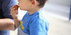 未知の生物でしかなかった