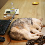 都内マンション、高くて狭い問題。