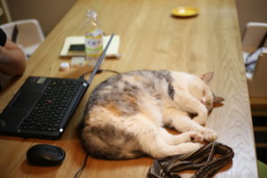 都内マンション、高くて狭い問題。