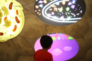 もっと優しく　もっともっと優しく