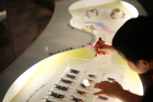 【会員限定】結婚生活も『夫ルール』