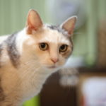 『キモ!』という場面に遭遇して考える、なんて世だ!