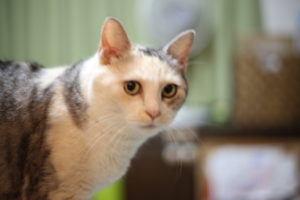 『キモ!』という場面に遭遇して考える、なんて世だ!