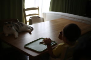 ワーママ的　ふるさと納税選抜返礼品！2018年分　期間限定アリ！お急ぎください！