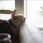 【会員限定】夫が提案はせずに批判ばかりする理由