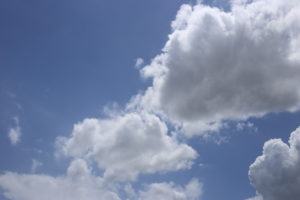 引っ越しまで１ヶ月～引っ越し業者選定のゴタゴタと