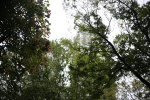 我らは忙しいのである！耳が空いている時間を逃すな！Podcastのススメ