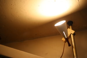 女のジレンマ　妻のジレンマ　専業主婦のジレンマ　少数派のジレンマ