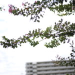 【会員限定】妻に耳を貸さない夫の末路とは