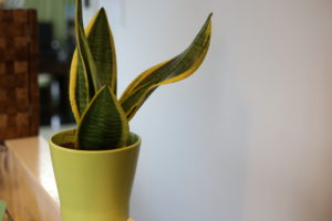 子供の『お手伝い』について思うこと。