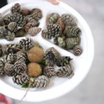 昔の母が、子供の私たちに言わずにいたこと