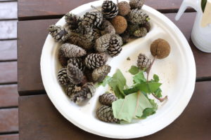 【レビュー】ヘタレ・キャンプ第2弾！パディントンベア・キャンプグラウンド