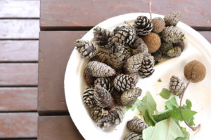 家族4人の『ちょっとおでかけ』のハードルが高い。