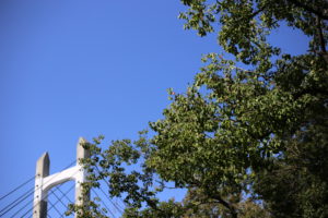 『お得だ』とわかっているのにやらないのには、理由があります