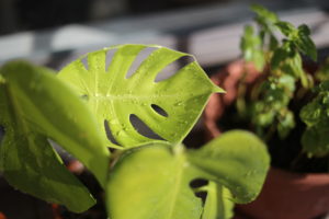 暇を持て余したい 私が結婚&出産した理由