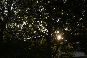 【会員限定】結婚が正解だと言う夫