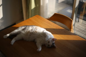 ワンオペ　それはムカツク、しんどい、それ以上であること