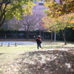 慣れたとはいえ、「自分どんだけ?」と思わずにはいられない