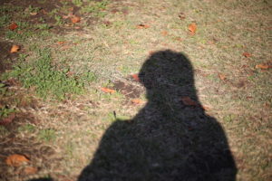 この風はどこから吹いてくる その名も【先輩かぜ】