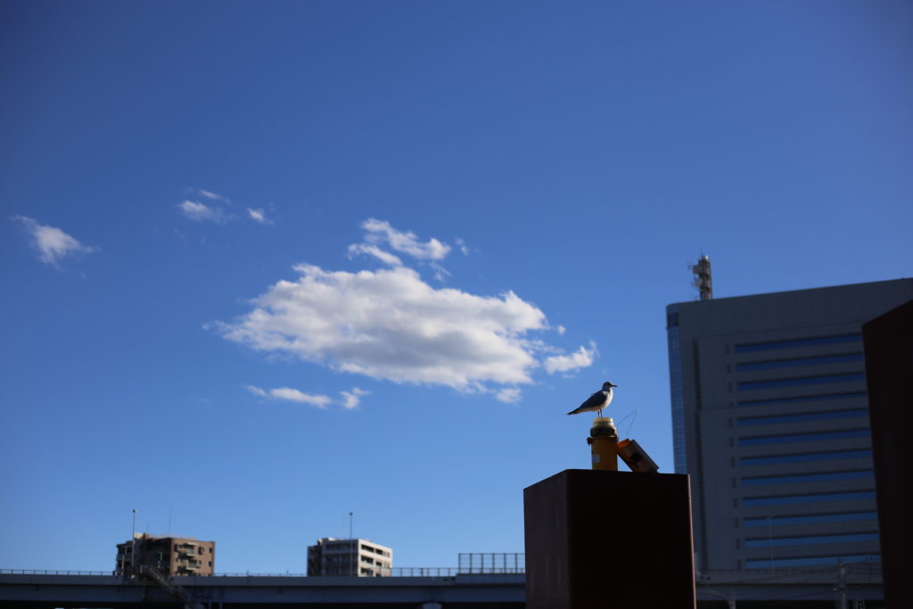 夫 旦那のご飯 作る