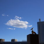 【会員限定】不本意すぎるが、やっぱり私は夫を育てたのか。