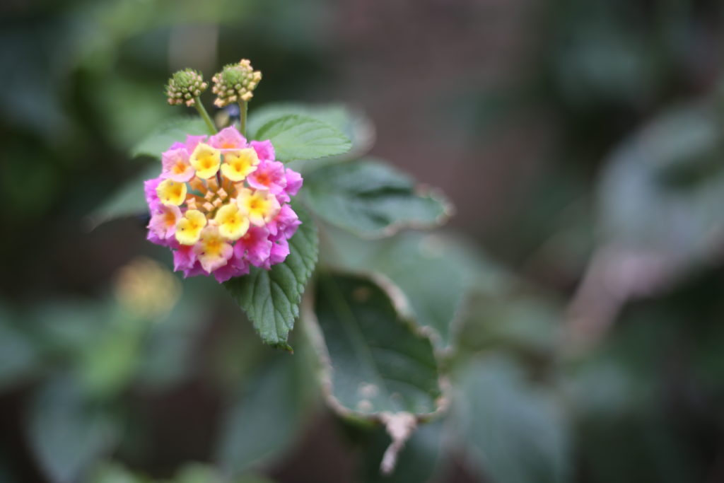 助けてくれない